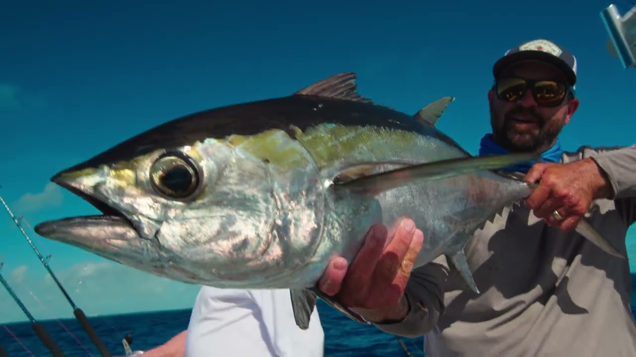 SAIL KINGS S3 EP1 'LIKE FATHER LIKE SON