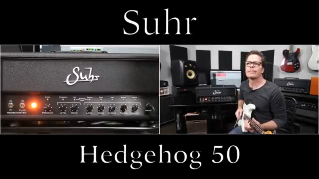Suhr Hedgehog 50 Amplifier Demo Video by Shawn Tubbs