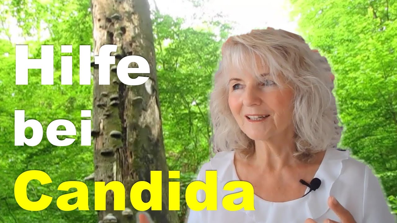 Was tun gegen Candida Pilze? Hefepilze im Darm und wie ich den Candida Pilz bekämpfen kann!