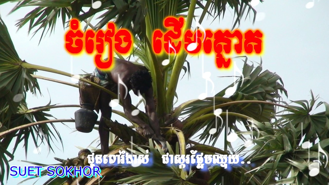 បទ ដើមត្នោត ¦ Derm Tnot