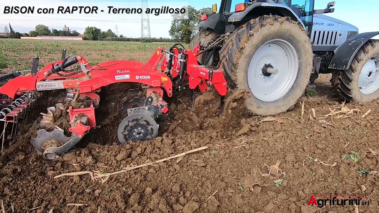Agrifurini Akpil Bison Raptor