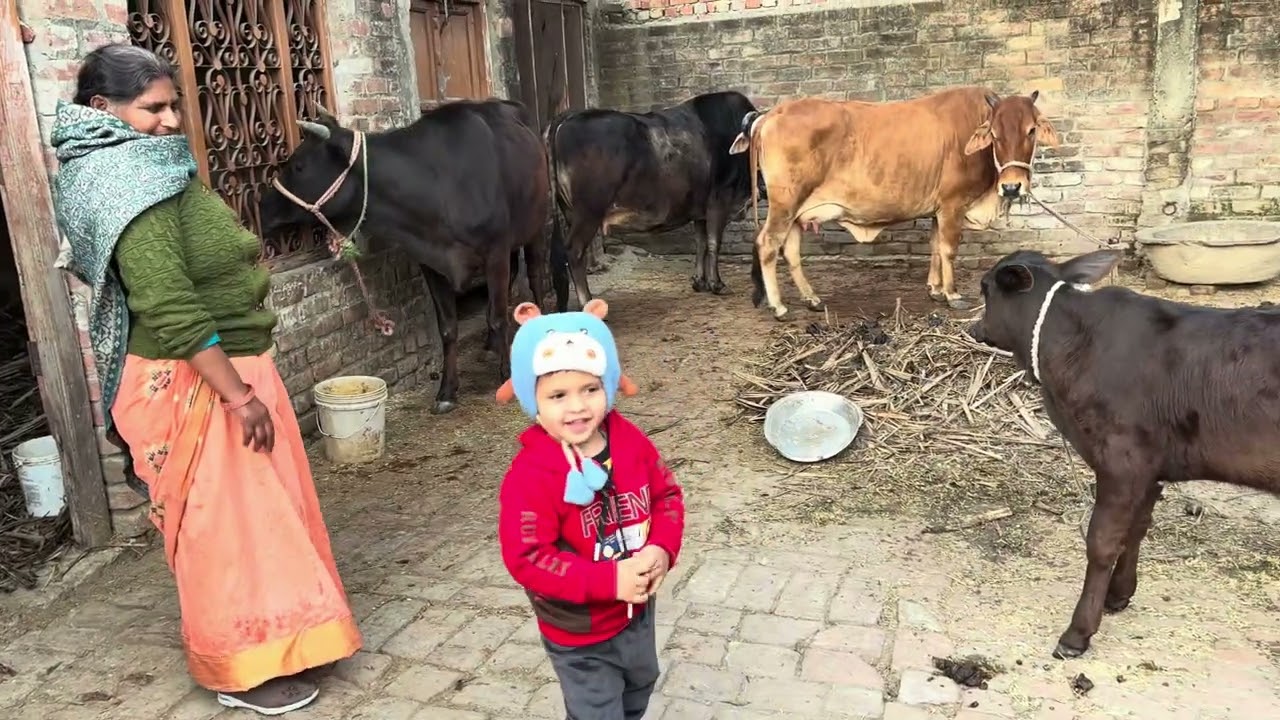 full day aaj to masti m nikala ghr pr | @ympshivay01 | #masti #life #funny #shortvideo #viral #trend