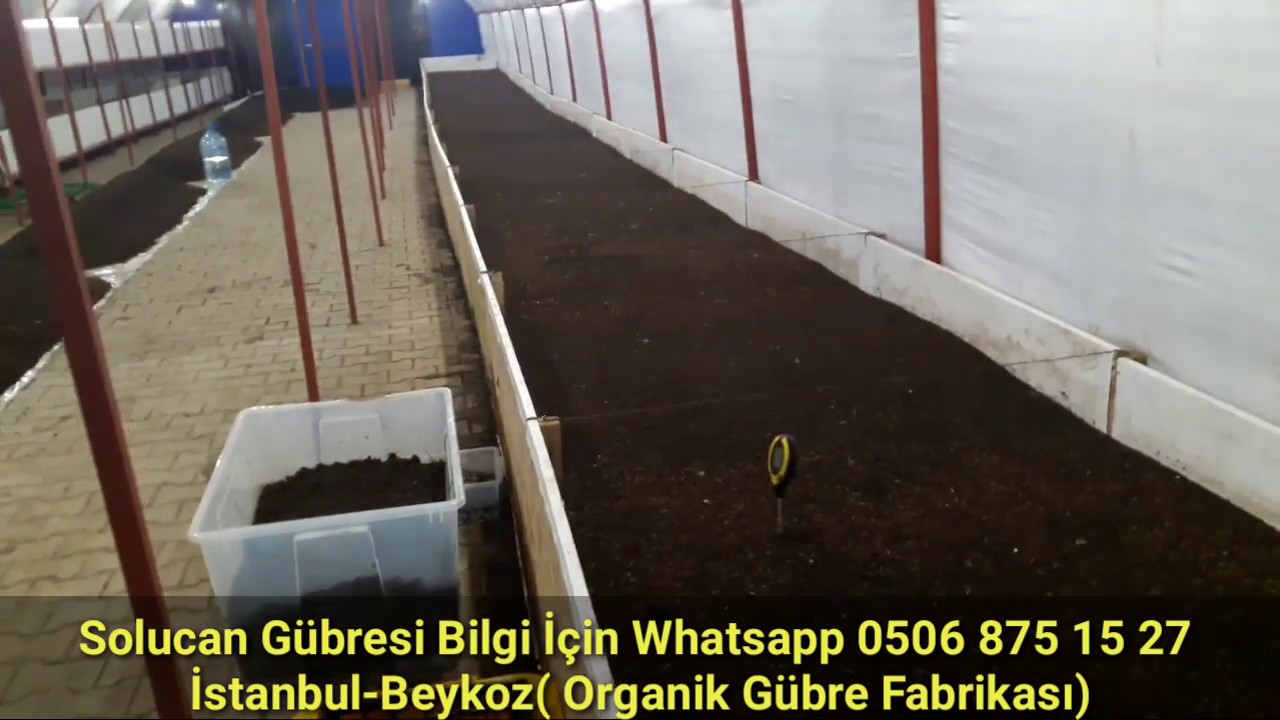 Solucan Gübresi ile 1 Yılda Gelen Büyük Başarı