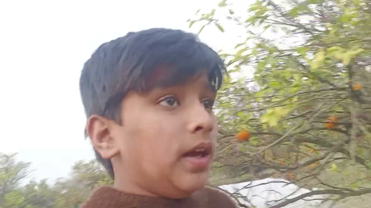 New Vlog part 2