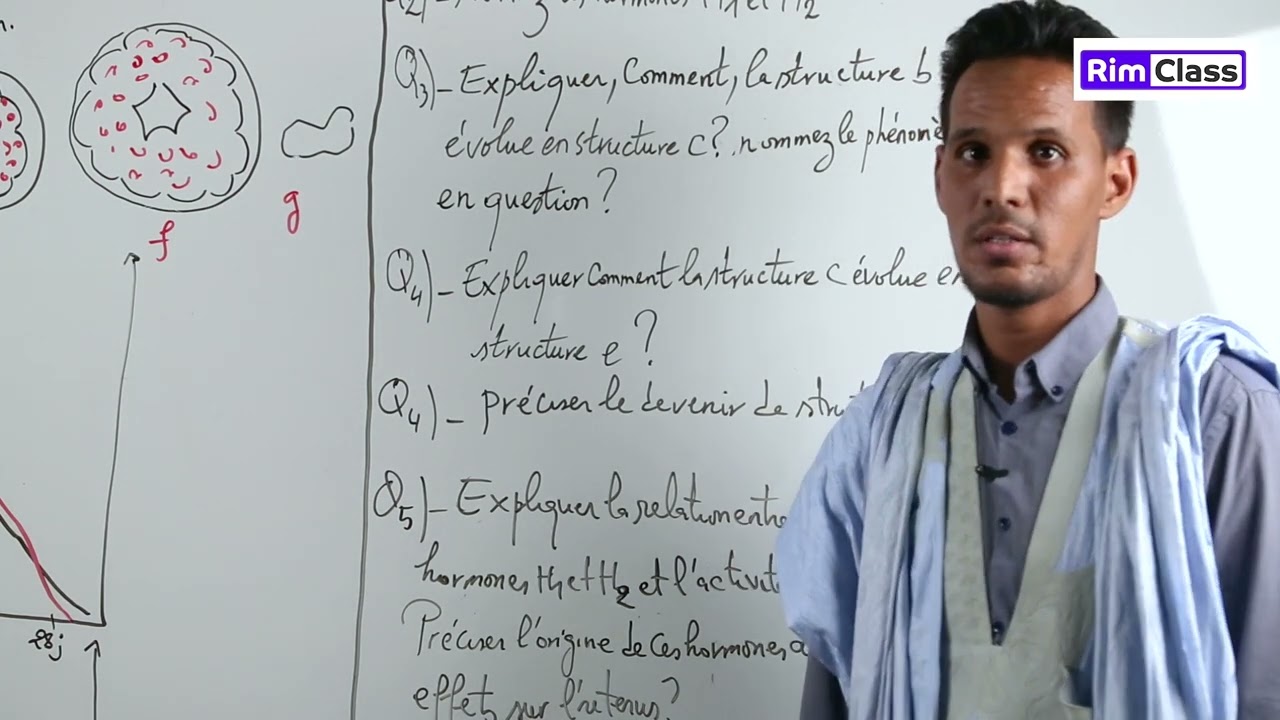 Questions-Réponses: Reproduction: La relation entre l'ovaire et l'utérus