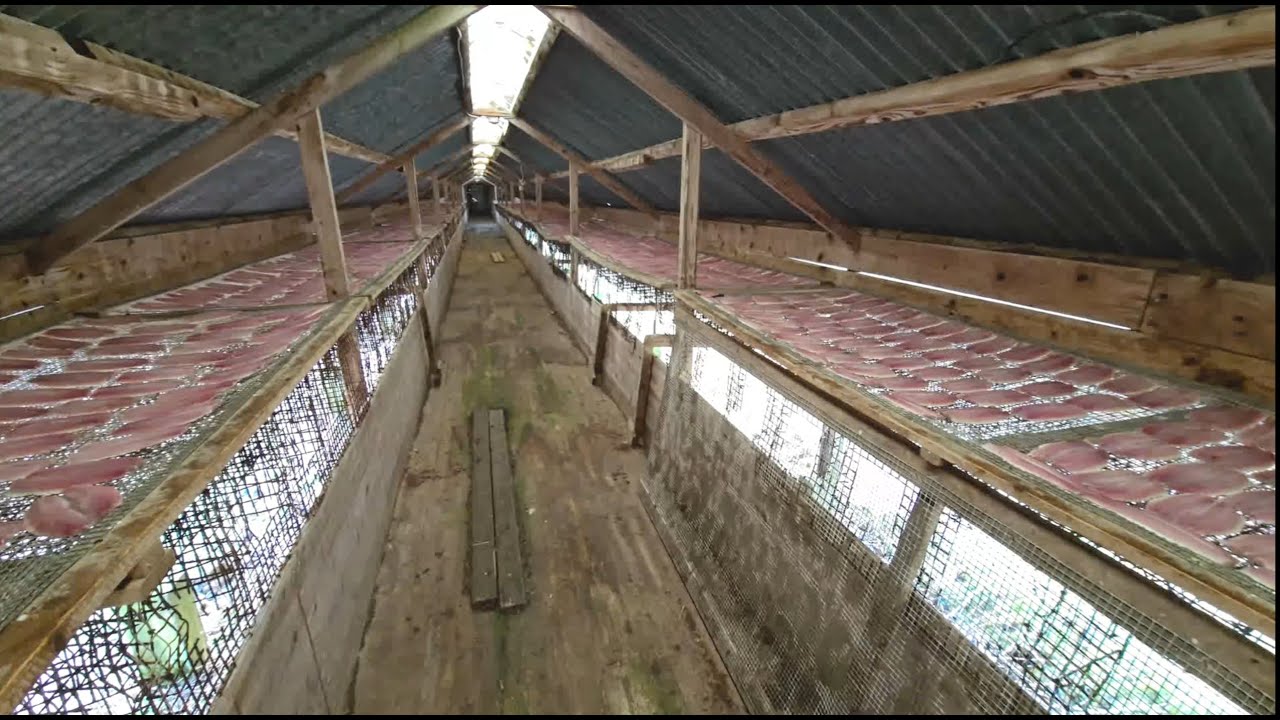 FRÅ HUSMANNSKOST TIL EI DELIKATESSE - Kystkulturlaget i Vågsøy 2025