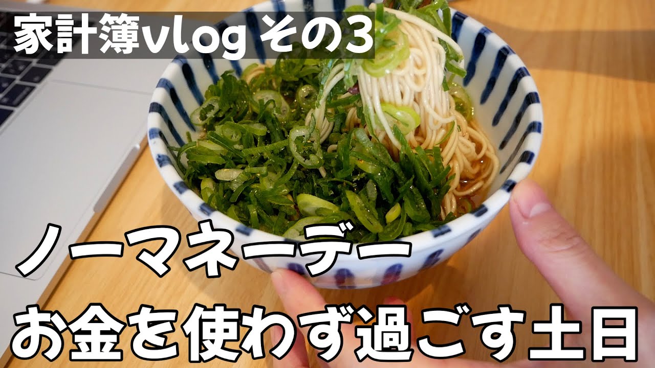 ノーマネーデーな休日！家から一歩も出ずに食材整理に勤しむ土日【家計簿vlog③】