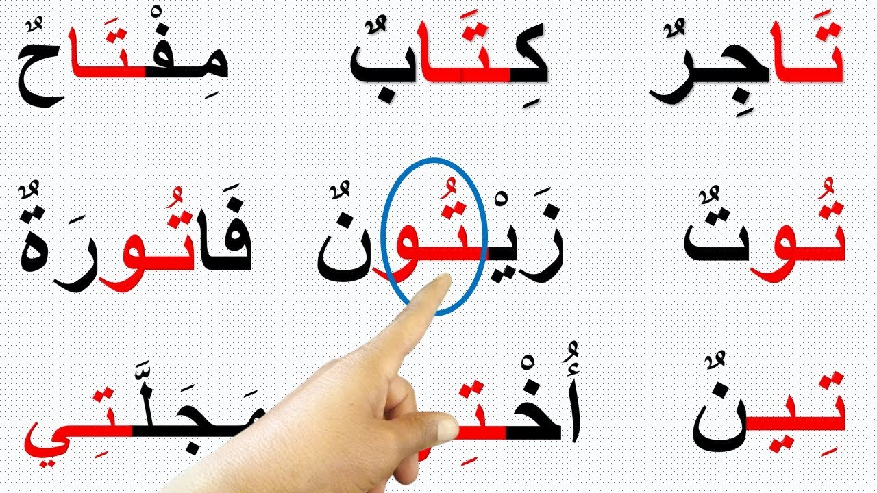 تعلّم القراءة والكتابة كلمات مع حرف التاء بالحركات الطويلة والقصيرة
