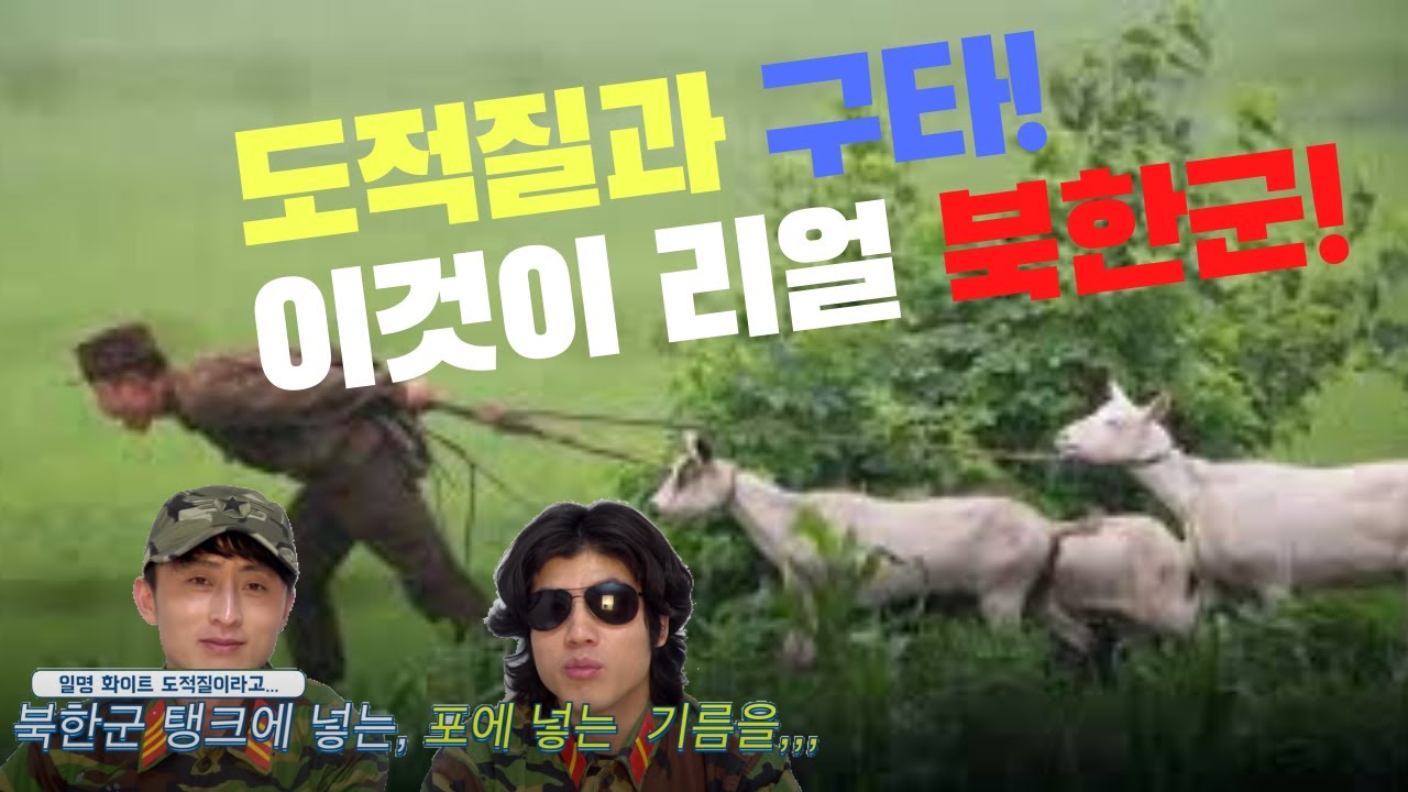 인민을 지켜야 하는 군대가 도적질하는 군대로 전락한 북한군