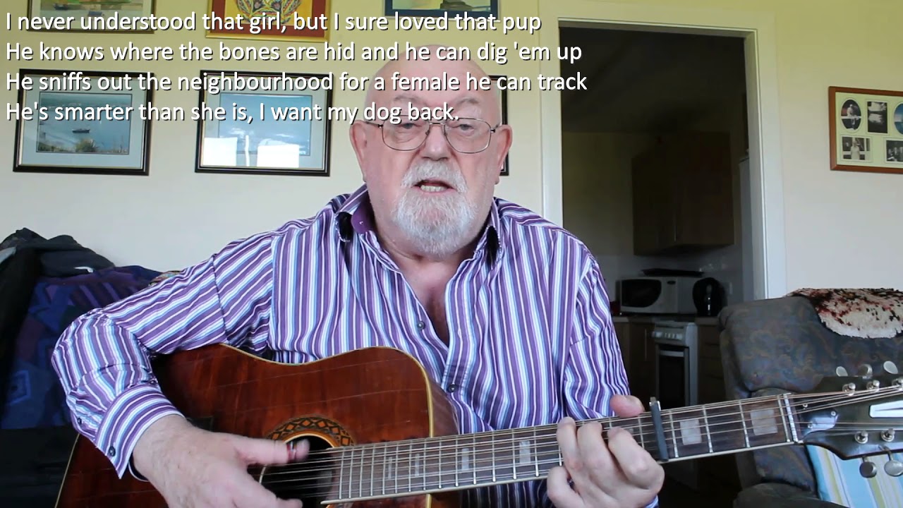 12-string Guitar: I Want My Dog Back (Including lyrics and chords)