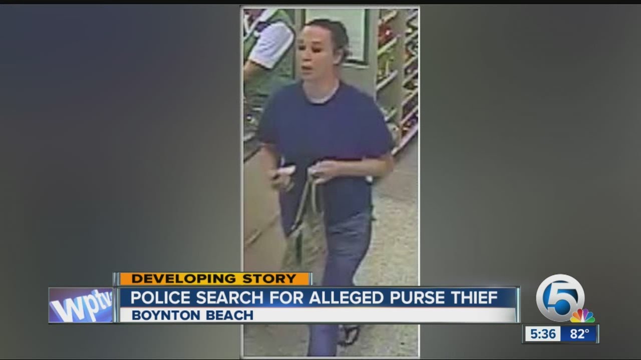 Police search for alleged purse thief