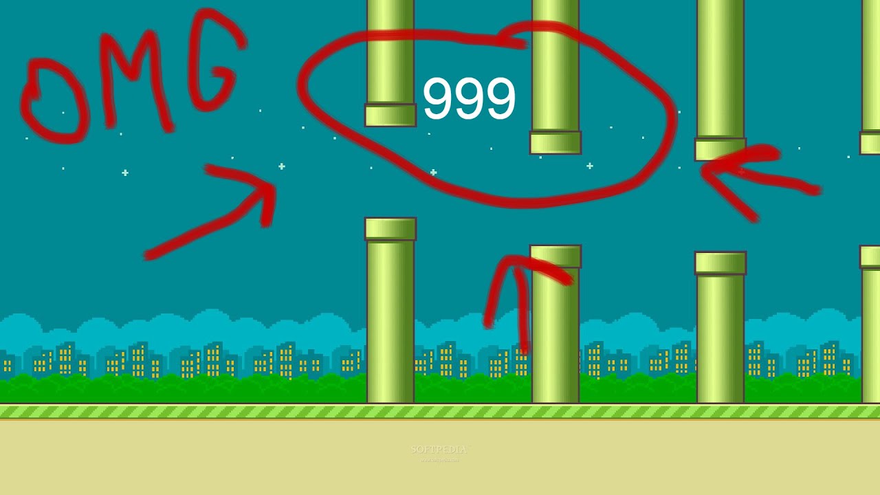 Flappy bird skip to 999