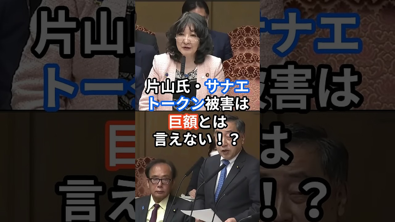 片山氏、サナエトークン被害は巨額とは言えない！？