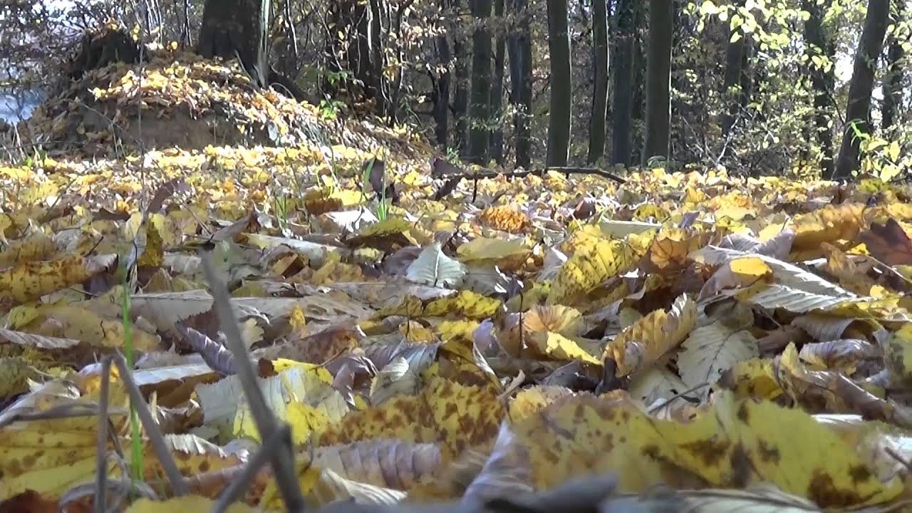 Mirsada i Jarani - Iz Podrinja najbolje smo cure - (Official video 2015) HD