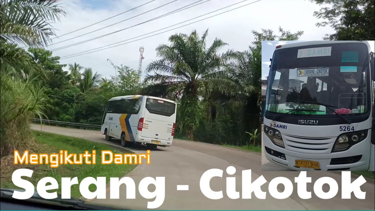 Mengikuti DAMRI Serang Cikotok, Lincah di Jalan Berliku Perkebunan Banjarsari Lebak