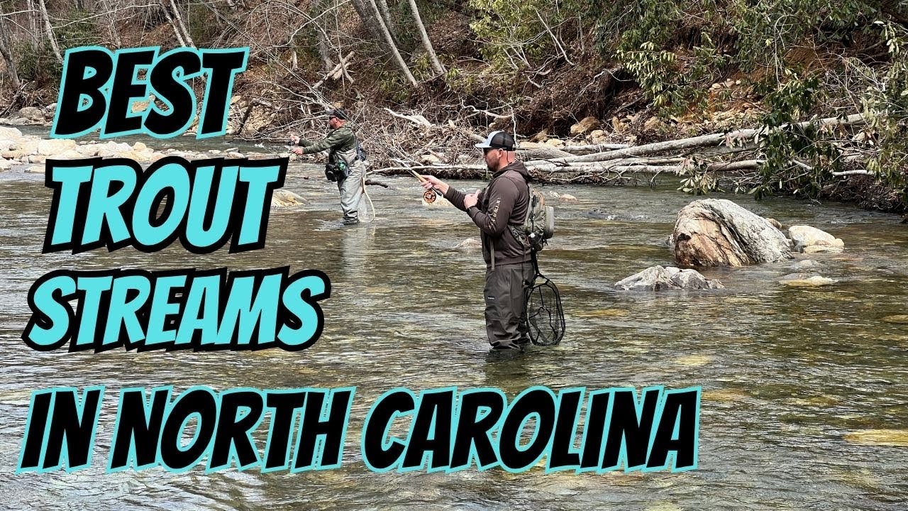 Western NC Trout Stream Fly Fishing