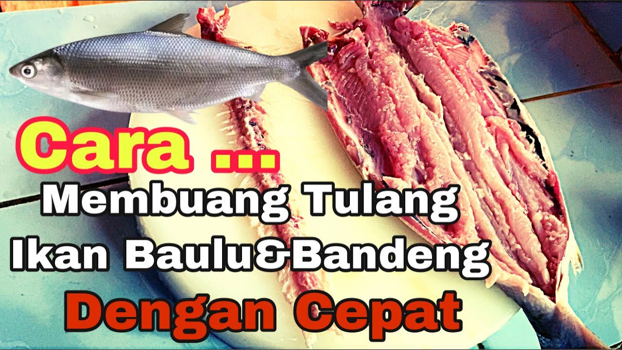CARA |MEMBUANG TULANG |IKAN BAULU&BANDENG