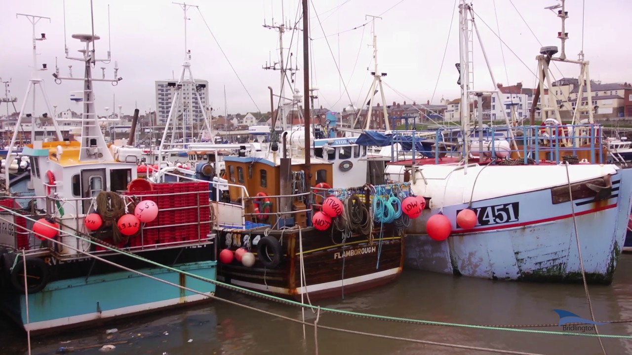 Raymond retires after 37 years of keeping watch over Bridlington harbour