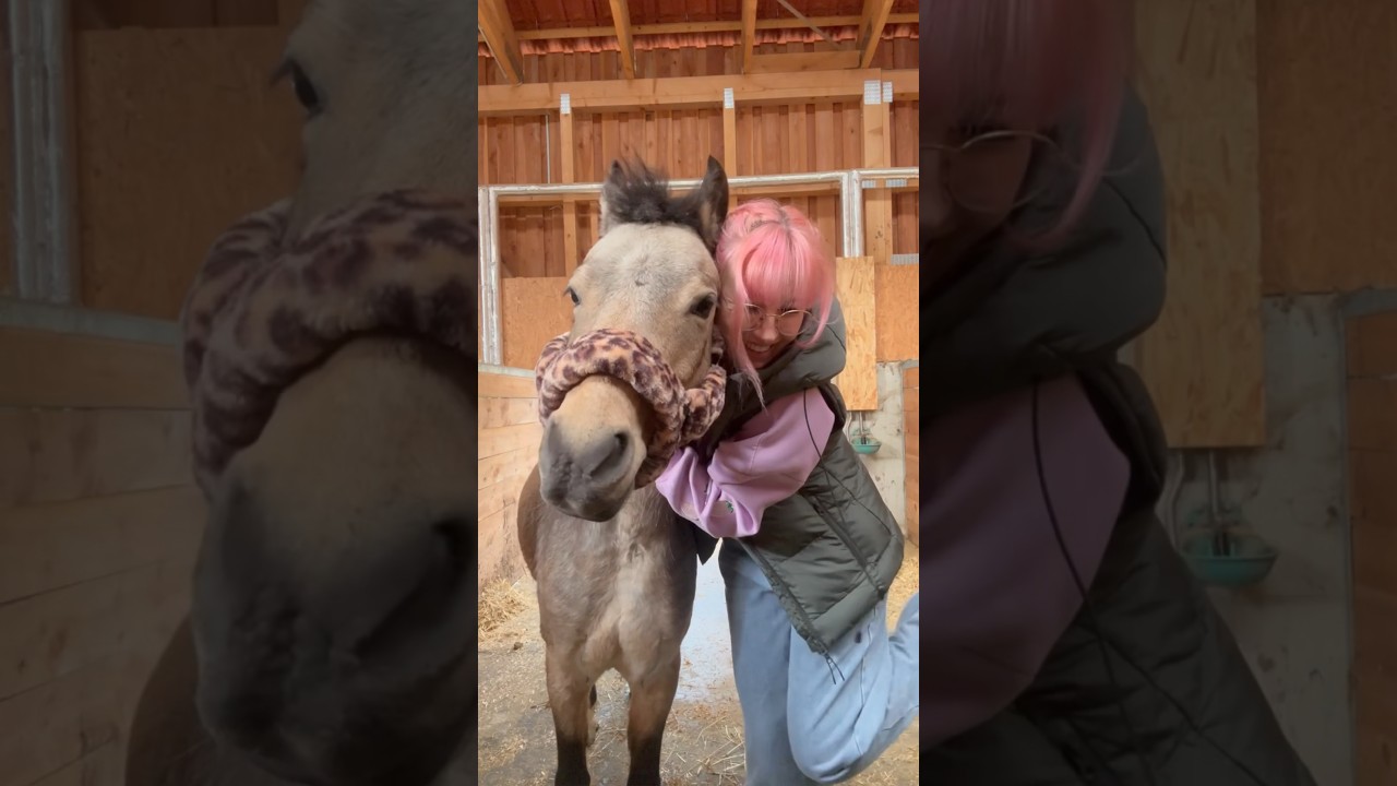 Sarina ist schockiert von Vikis &Uuml;BERRASCHUNG 😱😱 neues Pony Halfter f&uuml;r Spirit #ViktoriaSarina