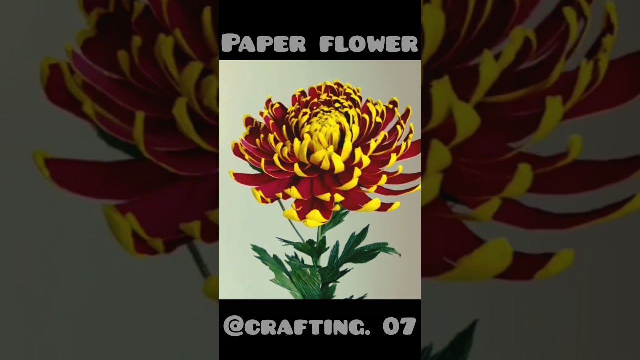 Making a Paper flower 