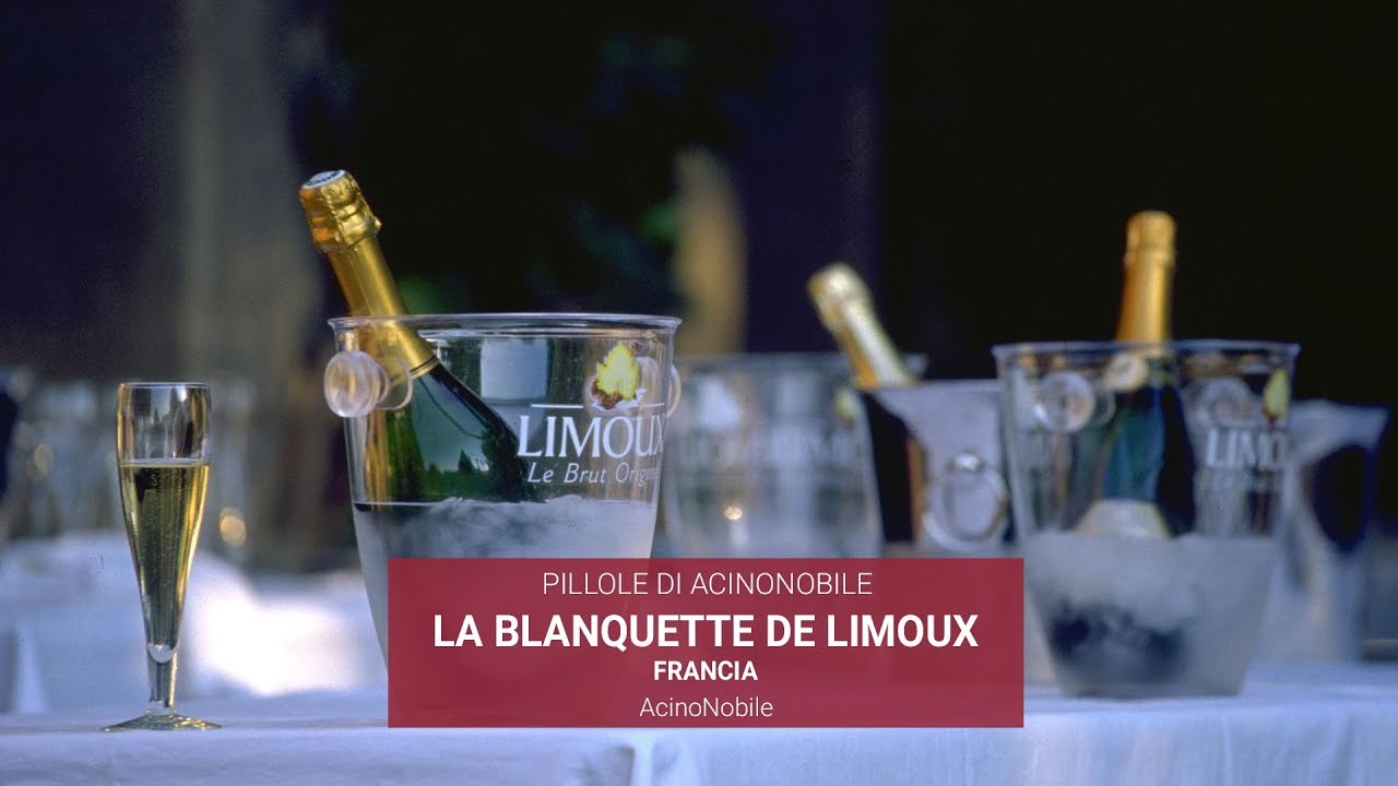 La Blanquette de Limoux: Il Primo Champagne Prodotto al Mondo
