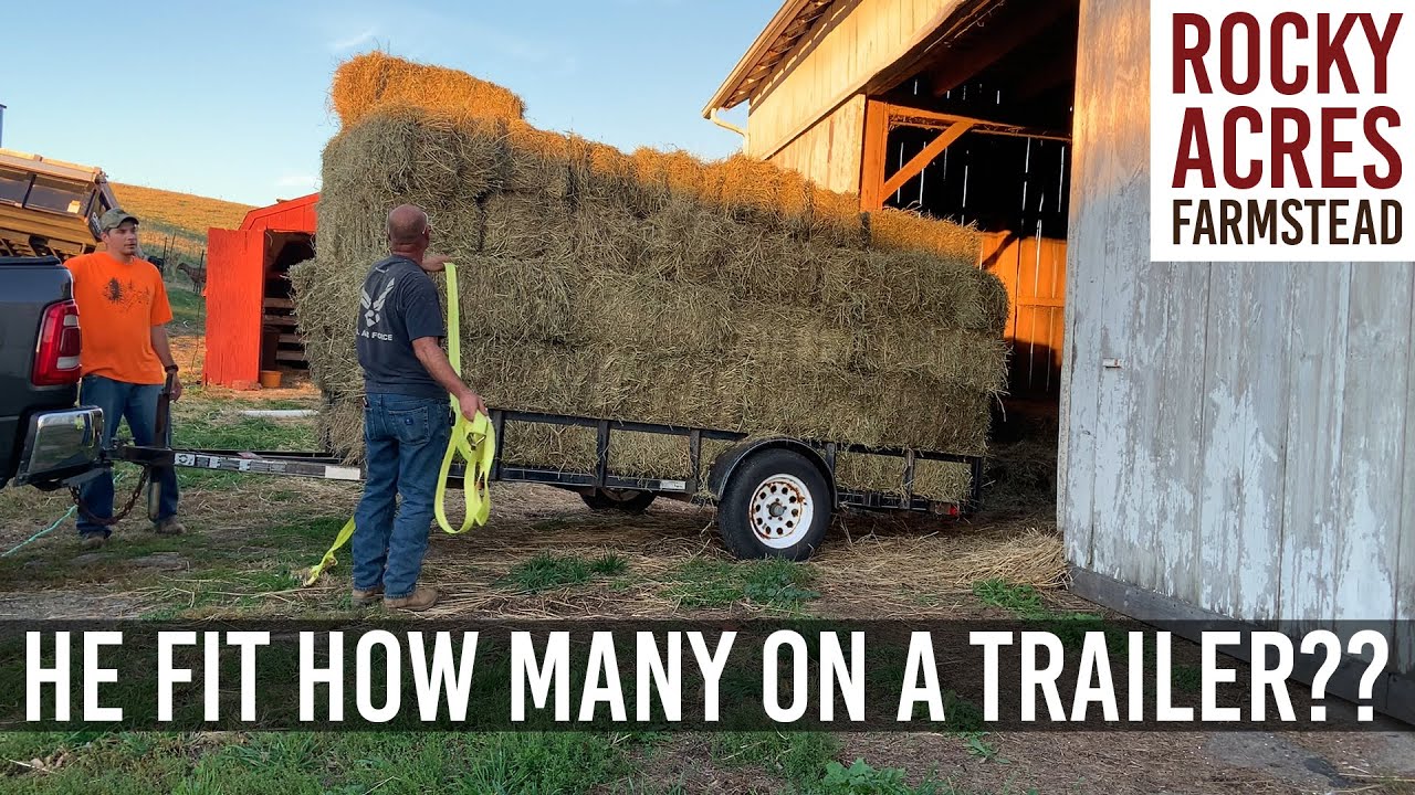He Fit How Many Square Bales On That Trailer?? Fall 2020!