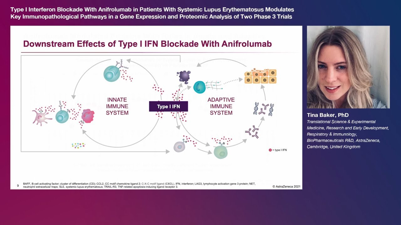 Anifrolumab modulates key immune pathways in patients with systemic lupus erythematosus (SLE)