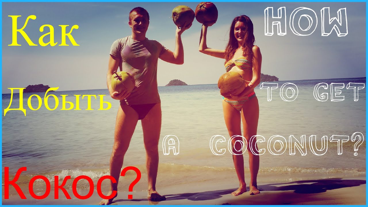 Как добыть достать сорвать кокос? How to get a coconut?