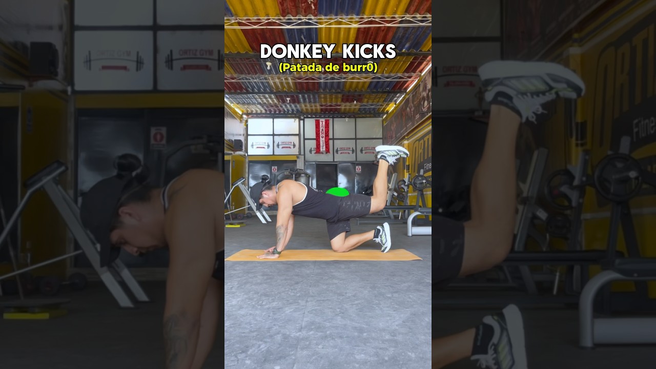 PATADA PARA GL&Uacute;TEO 🍑 #donkeykicks #gluteos #glutes #patada #gymrat #gymgirl #gym