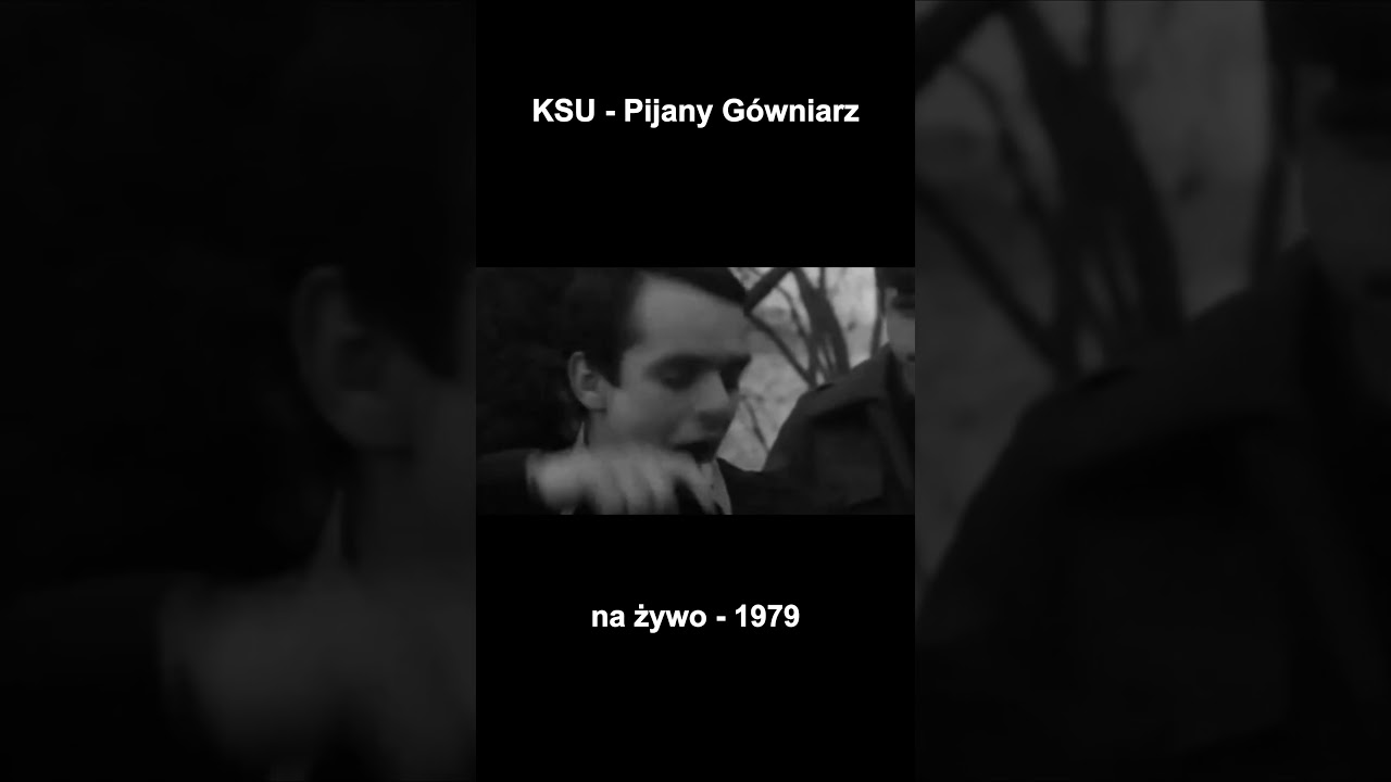 🤘KSU - Pijany G&oacute;wniarz #polska #punk #rock #music #muzyka #prl #milicja #jarocin #punkrock #ksu