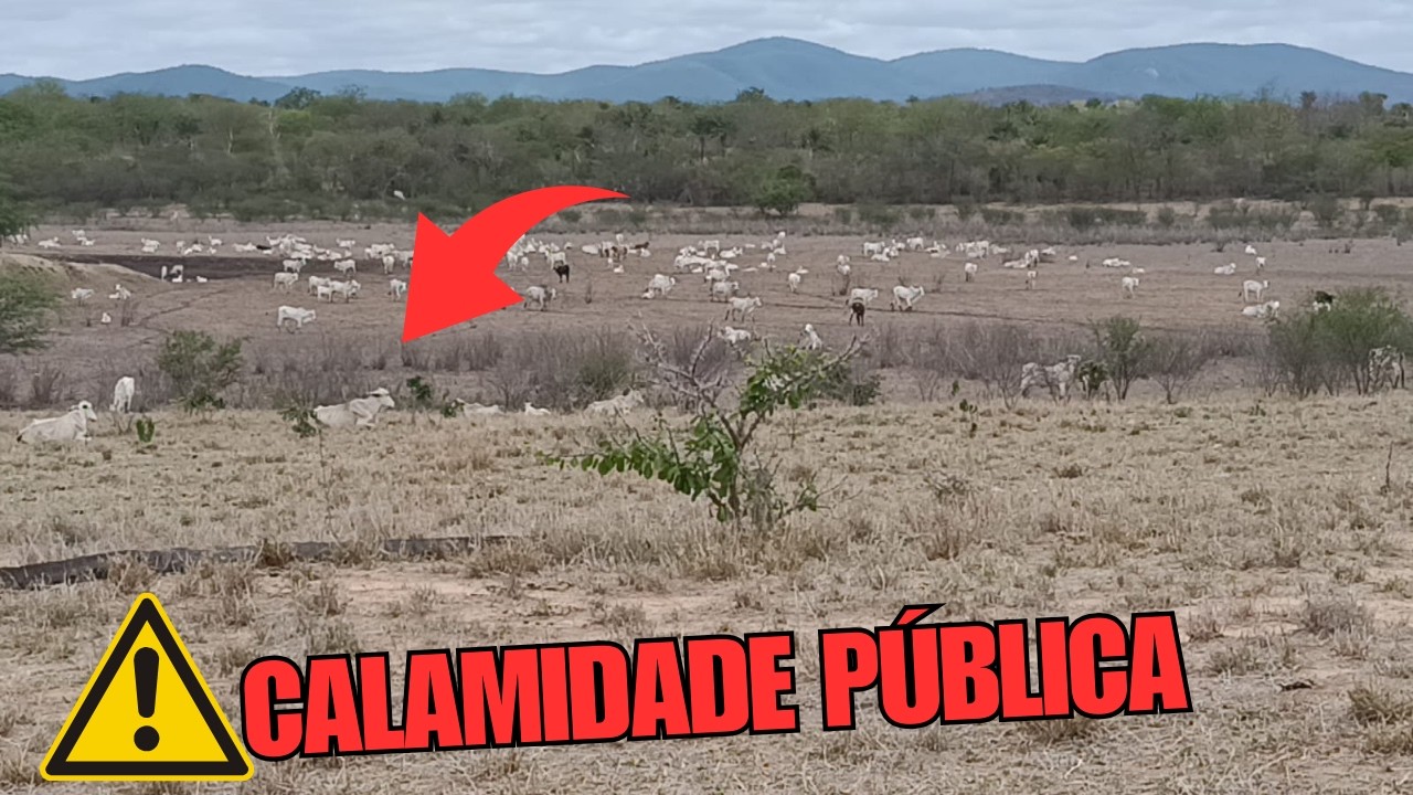 A ESTIAGEM ATINGE LOCALIDADES NO ESTADO DA BAHIA!