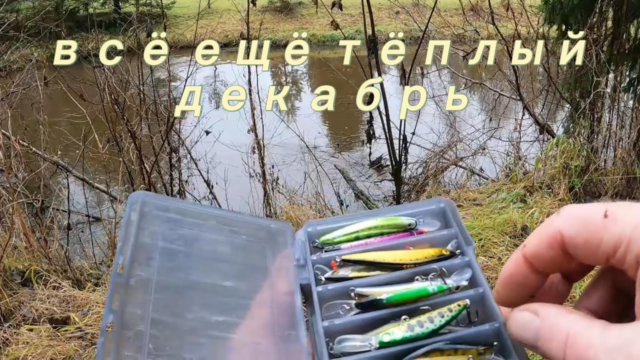 Всё ещё тёплый декабрь
