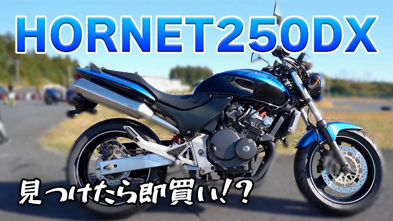 【一度は体感して欲しい250ccの4気筒！】Honda HORNET(ホーネット) 250 DXレビュー！【絶版車】