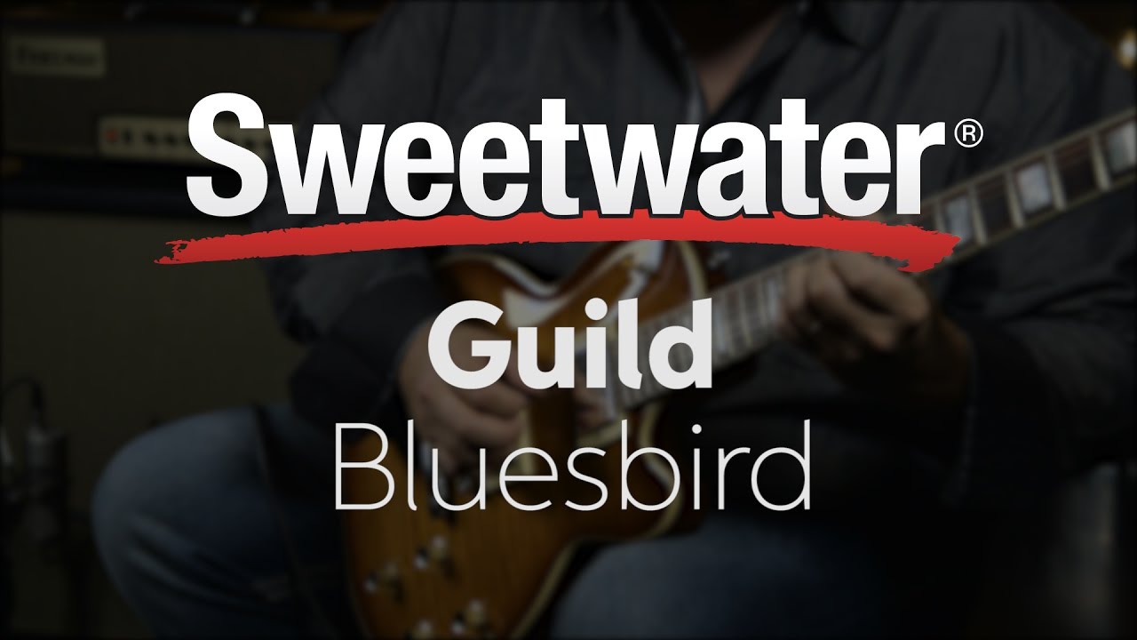 Guild Bluesbird Electric Guitar Review