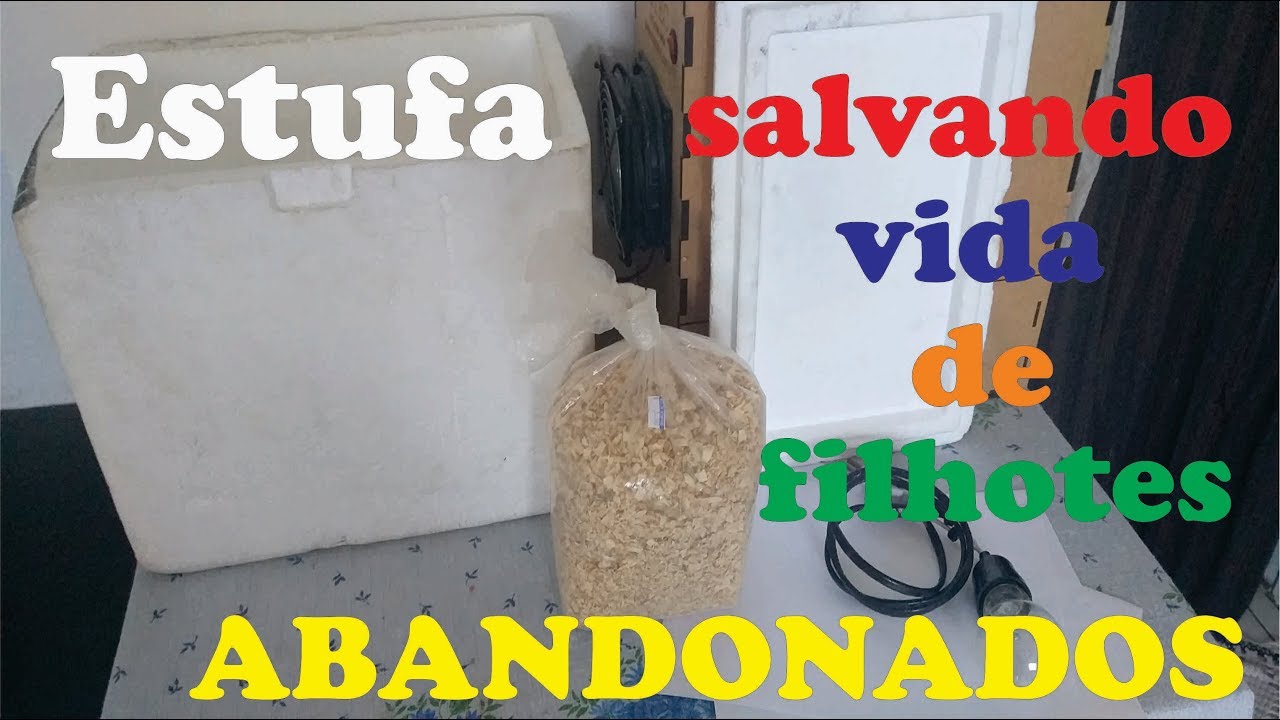 Estufa - Salvando a vida dos Filhotes ABANDONADOS