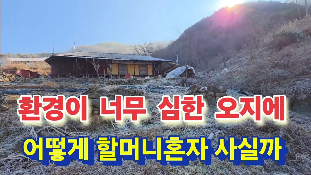 오지할머니는 낯선 날라리같은 깍새를 보시고 보자마자 밥상을 차려주시는데?
