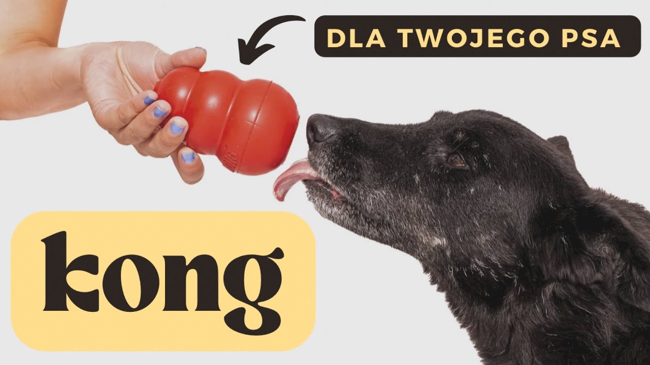 KONG DLA PSA