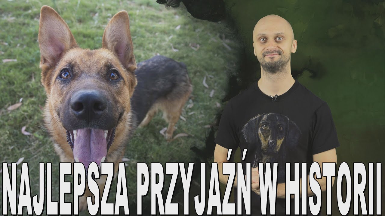 Najlepsza przyjaźń w historii - historia ps&oacute;w. Historia Bez Cenzury