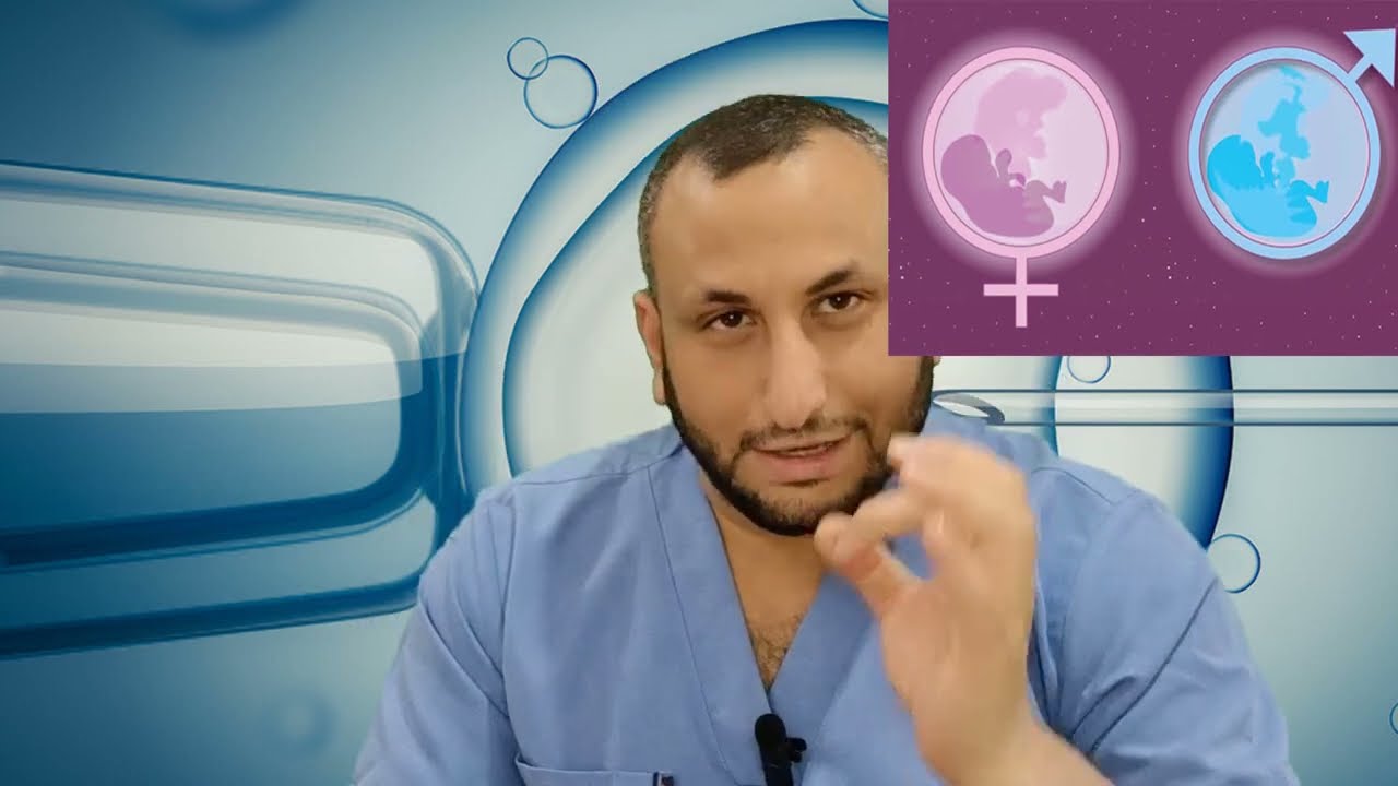 متى يظهر نوع  جنس الجنين؟ - الحلقات القصيرة / دكتور محمد خليل