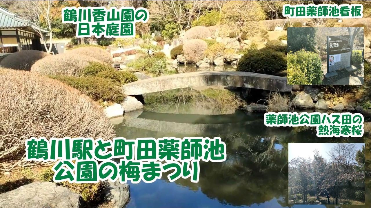 【鶴川駅と町田薬師池公園の梅まつり1】今回は、小田急線鶴川駅周辺と薬師池公園ハス田を主に撮影しています。