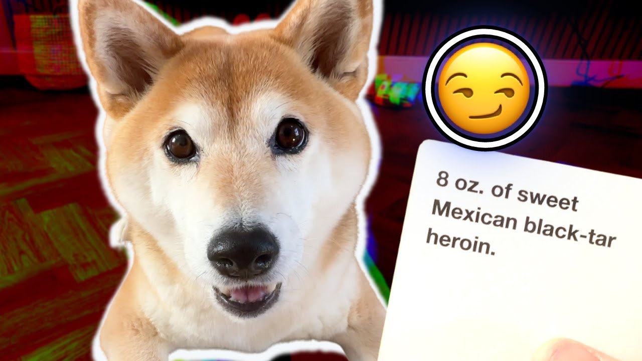 Shiba gets Savage in Cards Against Humanity. Unbelievable picks