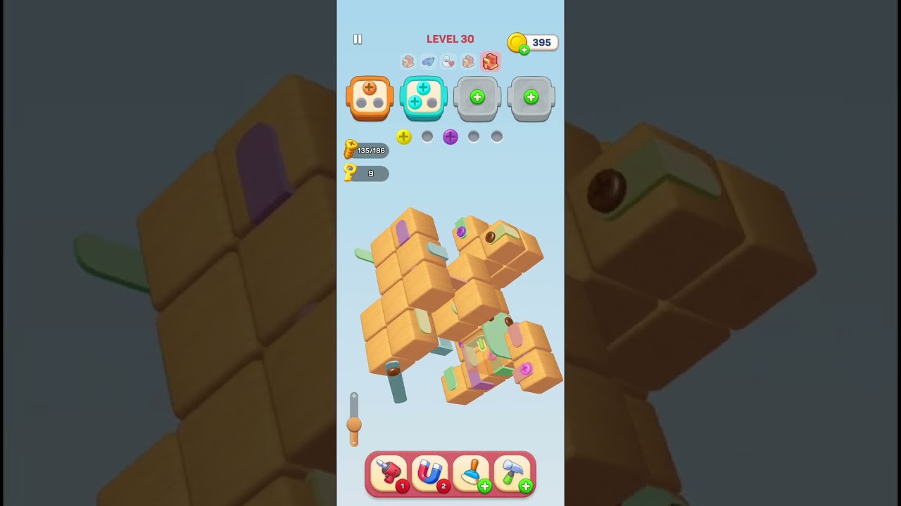 Screwdom 3D - Level 30