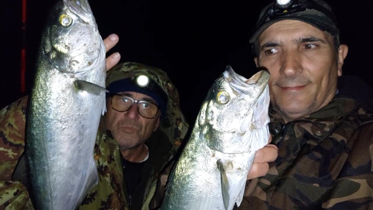 Surfcasting, Calamenti e Inneschi...
