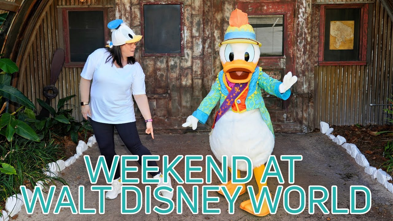 We Flew Breeze to Disney World | Animal Kingdom & EPCOT Festival of the Arts