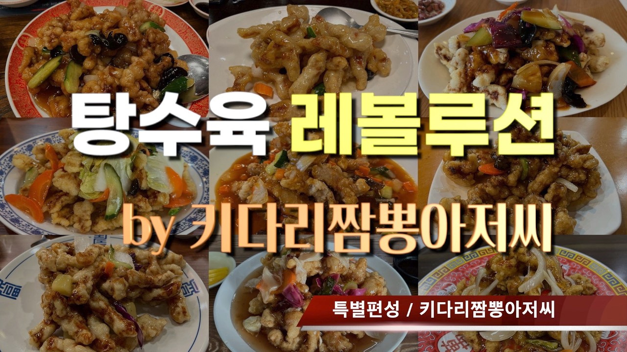 탕수육 레볼루션 by 키다리짬뽕아저씨