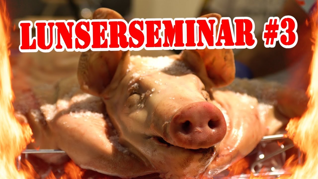 Grillshow Lunserseminar #3 - Die Grillshow Special