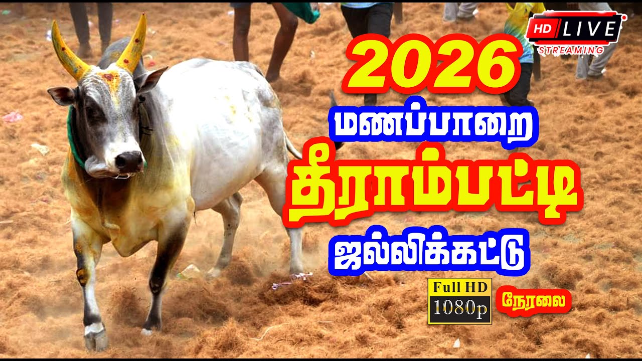 🔴 Live | தீராம்பட்டி ஜல்லிக்கட்டு நேரலை  / மணப்பாறை - தீராம்பட்டி Manaparai Therampatti Jallikattu
