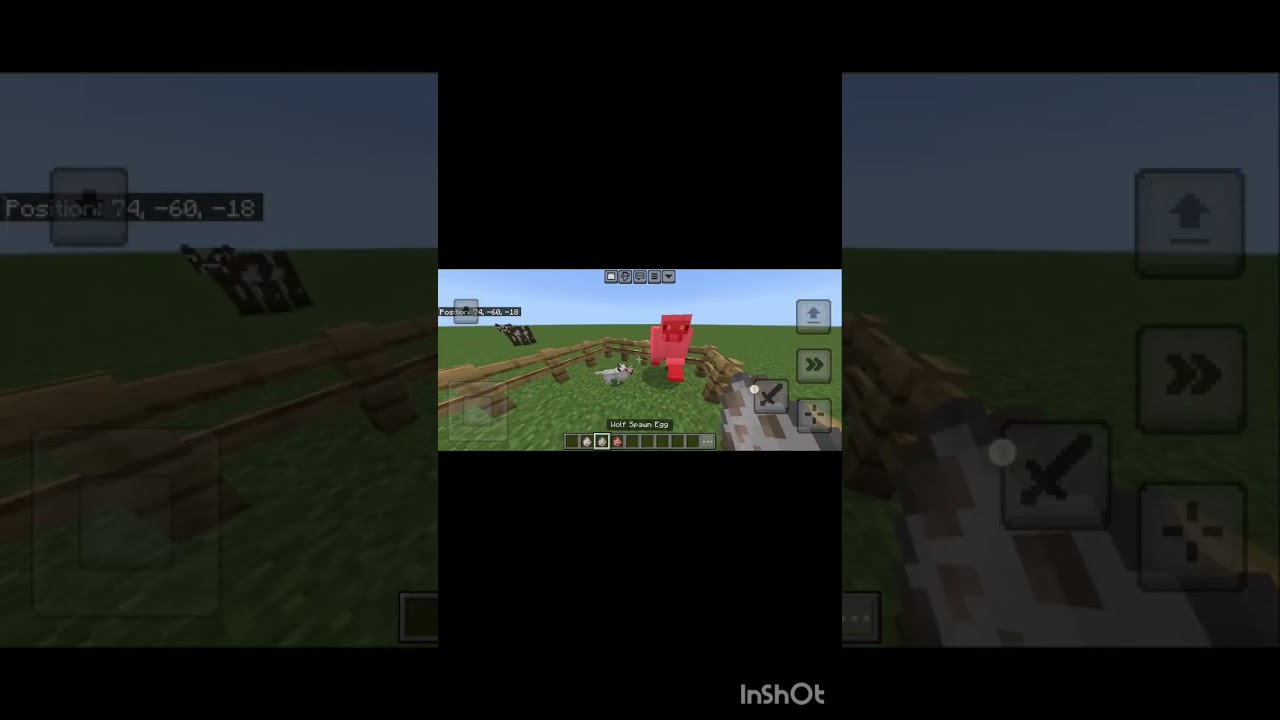 Wolfs are also Muslim !! #إنجلترا #جزان #سعودية #minecraft #shorts #trend