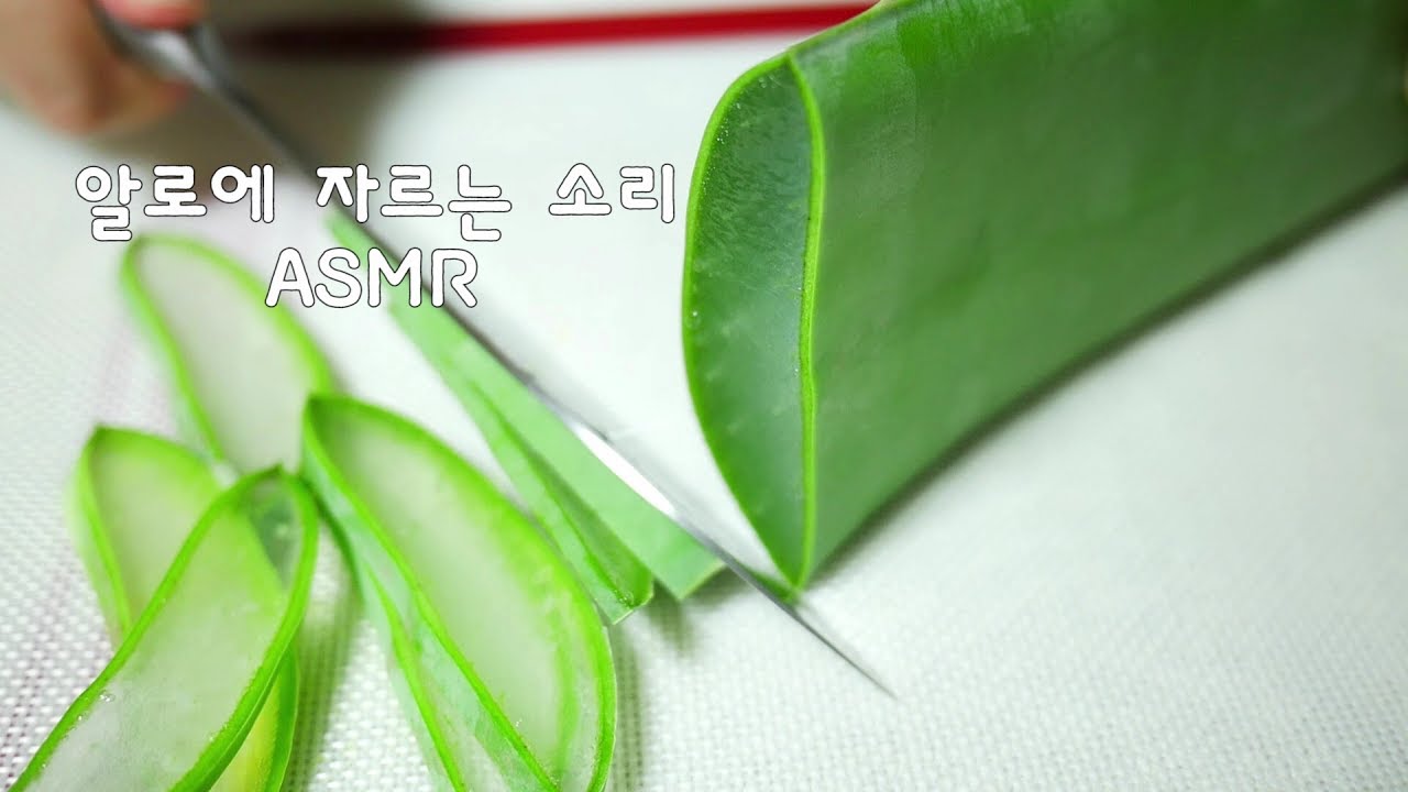 🥒알로에 자르는 소리 ASMR | 한세