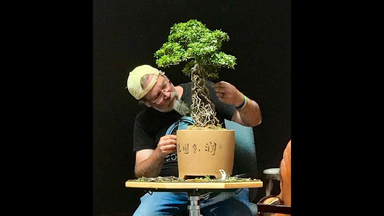 Satsuki Azalea Bonsai Care - Bonsai Master Bob Mahler